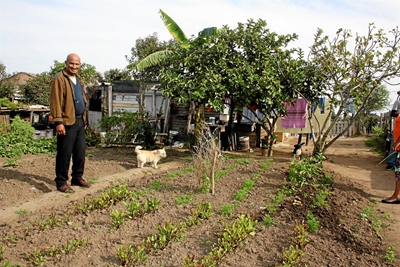 Food security from your own garden